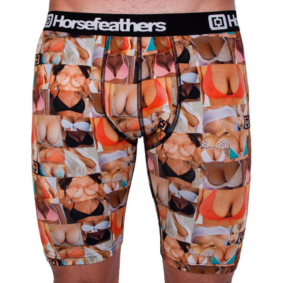 Boxers pour hommes Horsefeathers Sidney long boobs (AA1072M)