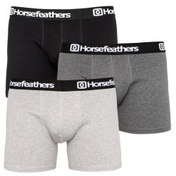 3PACK Boxers homme Horsefeathers multicolore (AM067D)