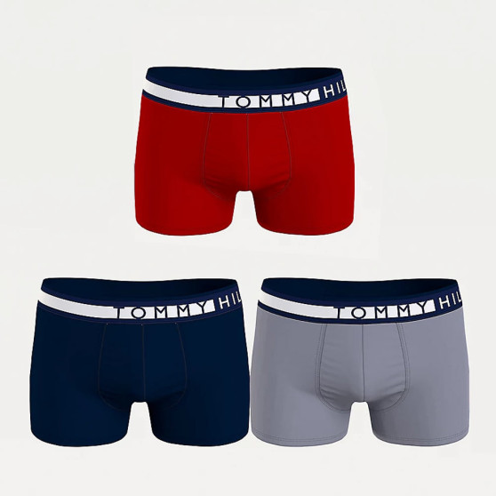 3PACK Boxers homme Tommy Hilfiger multicolore (UM0UM02202 0RU)