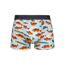 Boxers homme joyeux Dedoles Poissons (GMMT008)