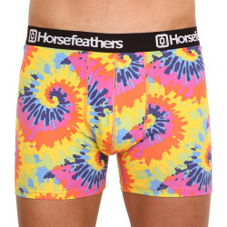 Boxers homme Horsefeathers Sidney Tie dye (AM164D)