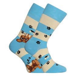 Happy Socks Dedoles Chiens et rayures (GMRS123)