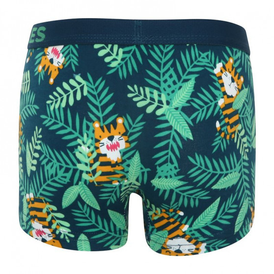 Boxers garçon joyeux Dedoles Tiger (GMBB047)