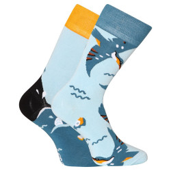 Chaussettes en bambou joyeuses Dedoles Oiseau de glace (D-U-SC-RS-C-B-1552)