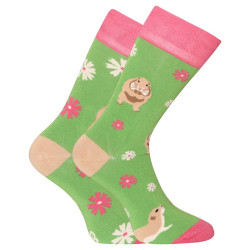 Chaussettes en bambou joyeuses Dedoles Gopher (D-U-SC-RS-C-B-1555)