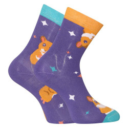 Chaussettes bébé heureux Dedoles Hamster (GMKS1128)