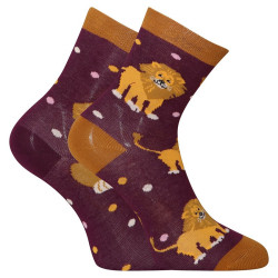 Chaussettes Happy Kids Dedoles Le roi de la jungle (GMKS184)