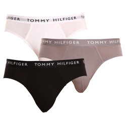 3PACK slip homme Tommy Hilfiger multicolore (UM0UM02206 0TG)