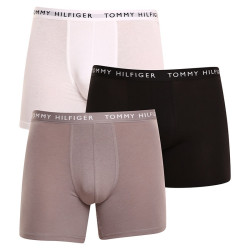 3PACK Boxers homme Tommy Hilfiger multicolore (UM0UM02204 0TG)