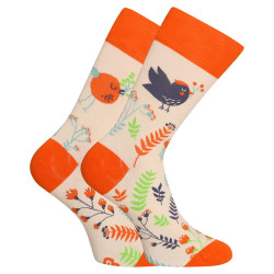 Chaussettes joyeuses Dedoles Oiseaux mignons (D-U-SC-RS-C-C-1569)