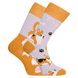 Chaussettes Joyeuses Dedoles Chien Corgi (GMRS241)