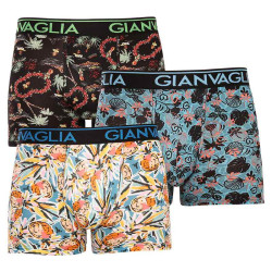 3PACK Boxers homme Gianvaglia multicolore (GVG-5502)