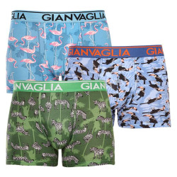 3PACK Boxers homme Gianvaglia multicolore (GVG-5501)