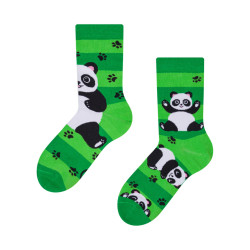 Chaussettes Happy Baby Dedoles Pandas et ceintures (D-K-SC-RS-C-C-249)