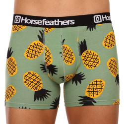 Boxers homme Horsefeathers Sidney Pineapple (AM164G)