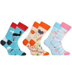 3PACK Les chaussettes du bonheur Dedoles (RS206154969)