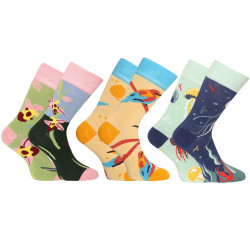 3PACK Les chaussettes du bonheur Dedoles (RS1456155053)