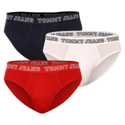 3PACK slip homme Tommy Hilfiger multicolore (UM0UM02849 0T6)