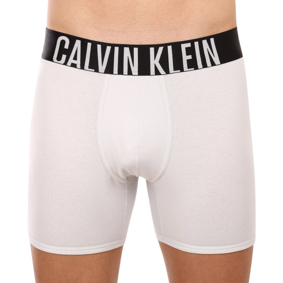 2PACK Boxers homme Calvin Klein multicolore (NB2603A-C2D)