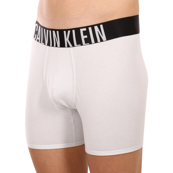 2PACK Boxers homme Calvin Klein multicolore (NB2603A-C2D)