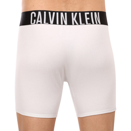 2PACK Boxers homme Calvin Klein multicolore (NB2603A-C2D)