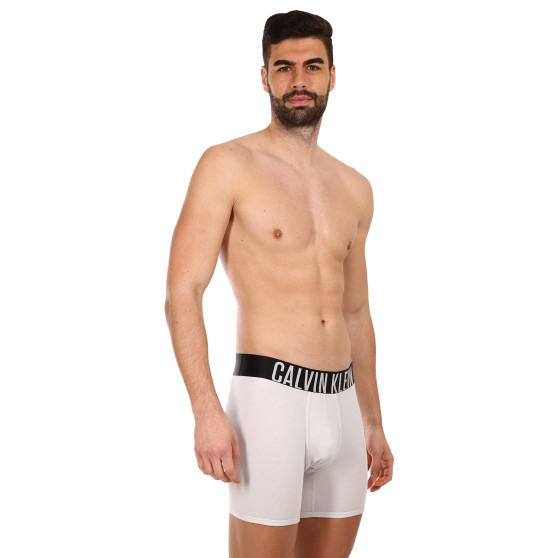 2PACK Boxers homme Calvin Klein multicolore (NB2603A-C2D)