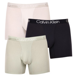 3PACK Boxers homme Calvin Klein multicolore (NB2971A-CBC)