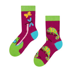 Chaussettes pour bébé heureux Dedoles Caméléon (GMKS073)