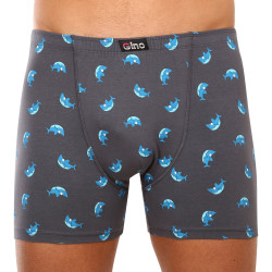 Boxers homme Gino gris (74150)