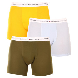 3PACK Boxers homme Tommy Hilfiger multicolore (UM0UM02941 0W8)