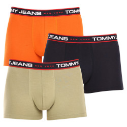 3PACK Boxers homme Tommy Hilfiger multicolore (UM0UM02968 0SP)