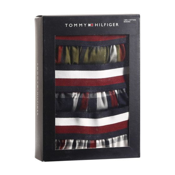 3PACK Caleçons homme Tommy Hilfiger multicolore (UM0UM03042 0SW)