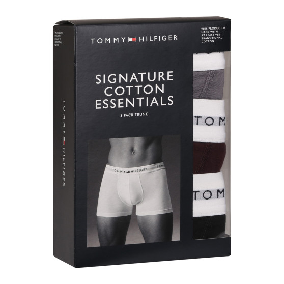 3PACK Boxers homme Tommy Hilfiger multicolore (UM0UM02761 0UJ)