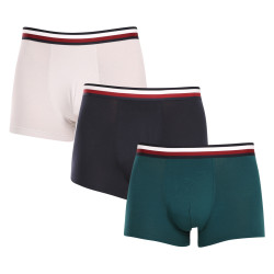 3PACK Boxers homme Tommy Hilfiger multicolore (UM0UM03035 0T1)