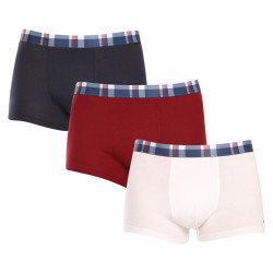 3PACK Boxers homme Tommy Hilfiger multicolore (UM0UM03041 0XU)