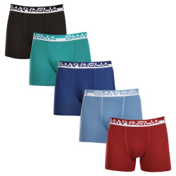 5PACK Boxers homme Gianvaglia multicolore (GVG-5011)