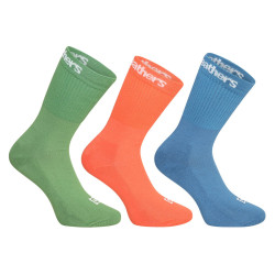 3PACK chaussettes Horsefeathers multicolores (AA547G)