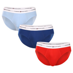 3PACK slip homme Tommy Hilfiger multicolore (UM0UM02764 0XZ)