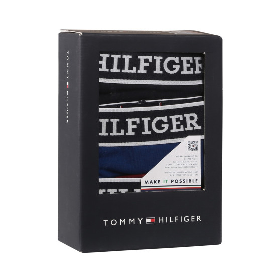 3PACK Boxers homme Tommy Hilfiger multicolore (UM0UM03185 0SX)