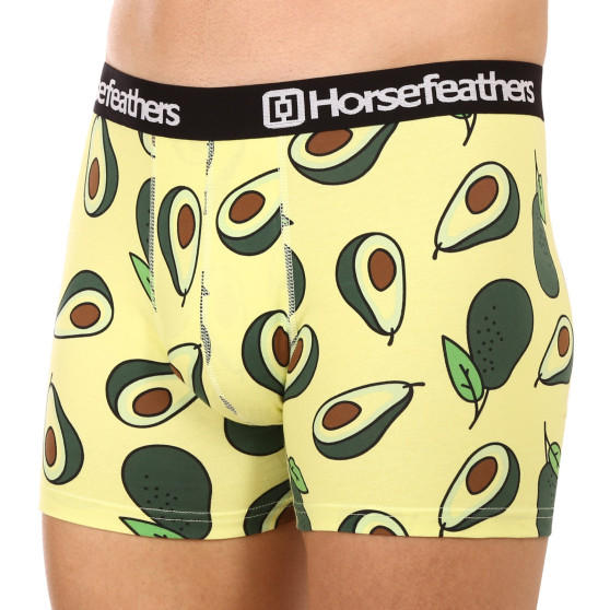 3PACK Boxers homme Horsefeathers Sidney (AM164DGK)