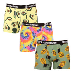 3PACK Boxers homme Horsefeathers Sidney (AM164DGK)