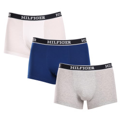 3PACK Boxers homme Tommy Hilfiger multicolore (UM0UM03185 0YZ)