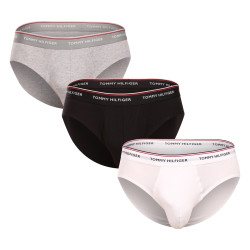 3PACK slip homme Tommy Hilfiger multicolore (1U87903766 004)