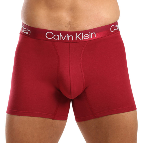 3PACK Boxers homme Calvin Klein multicolore (NB2971A-MCI)