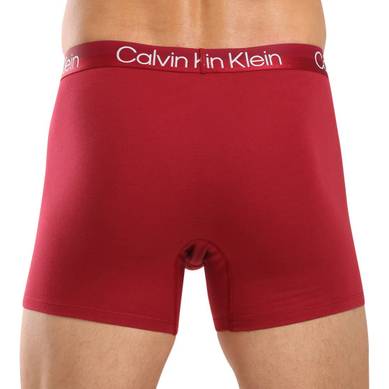 3PACK Boxers homme Calvin Klein multicolore (NB2971A-MCI)