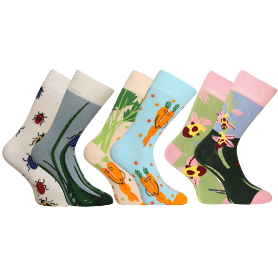 3PACK Les chaussettes du bonheur Dedoles (RS2465553)