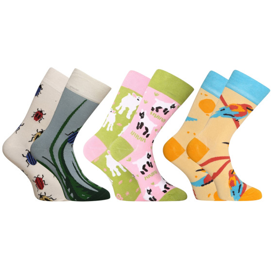 3PACK Les chaussettes du bonheur Dedoles (RS246155067)