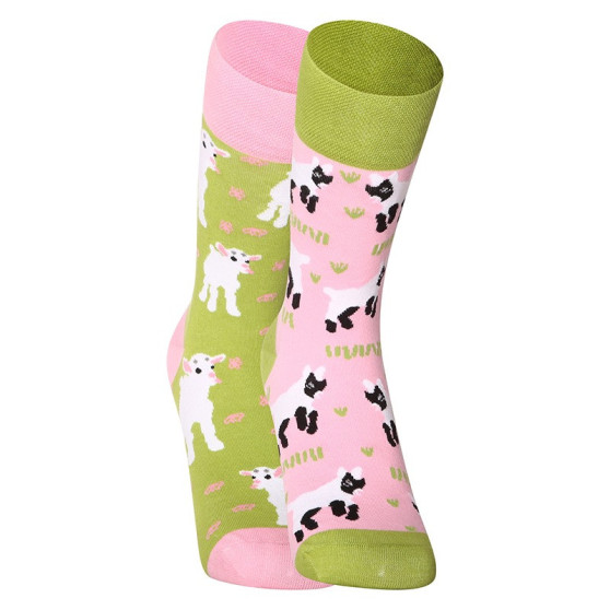 3PACK Les chaussettes du bonheur Dedoles (RS246155067)