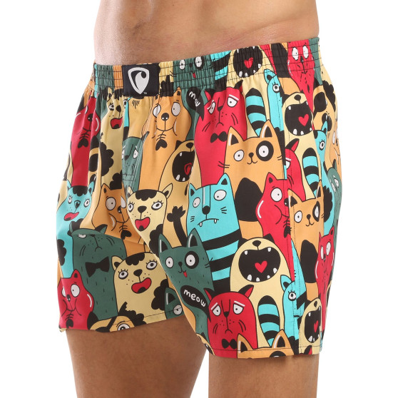 Represent Short pour homme exclusif Ali Cat Fans (R4M-BOX-0606)