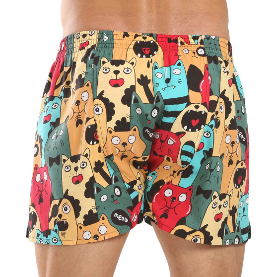 Represent Short pour homme exclusif Ali Cat Fans (R4M-BOX-0606)